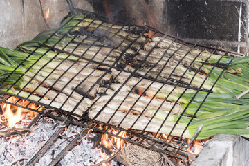 Calçots en Calçotada en Valls, Tarragona