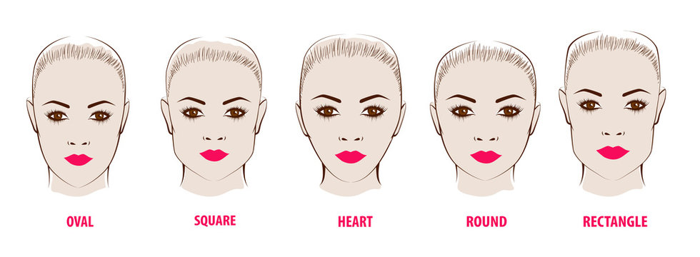 Forms of a female face.