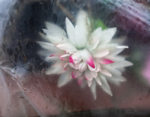 Artificial flowers thrown away in polyethylene