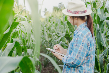 farmer woman take notes with a pen on a notebook in agriculture garden.