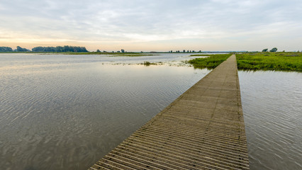 Narrow wooden footbridge over the water of a nature reserve