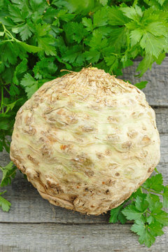Raw Celery Root with green leaves on wooden background