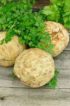 Raw Celery Roots with green leaves on wooden background
