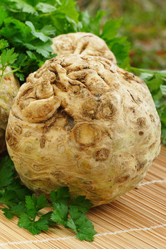 Raw Celery Root with green leaves
