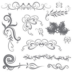 vector illustration set of border calligraphic and dividers decorative