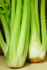 Fresh Celery Twigs