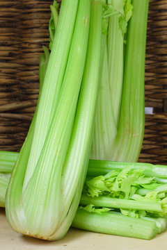 Fresh Celery Twigs