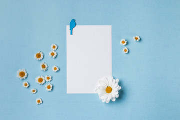 Spring top view composition: blank stationary template / invitation mockup, white flower with yellow heart, small chamomiles around, blue bird. Sky blue background with copy space for text. Flat lay.