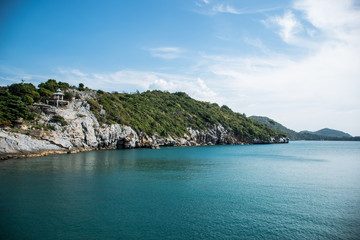 Naklejka premium Forest coast with blue sea