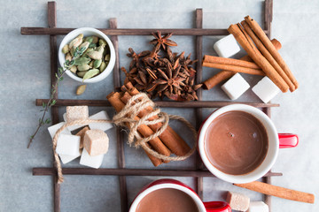 Hot chocolate cocoa drink with aromatic spices - cinnamon, cordamom, thyme and sweet ingredients - white and brown cane sugar cubes. Top view.