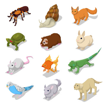 Isometric Domestic Animals Pets with Cat, Dog, Hamster and Rabbit. Vector 3d flat illustration