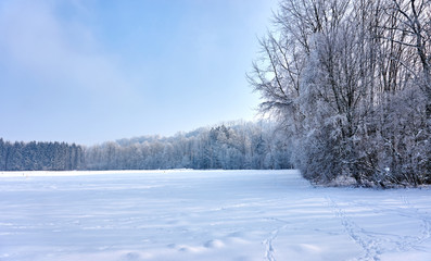 Fototapeta na wymiar Beautiful winter landscape with white trees
