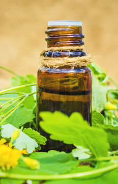 celandine extract in a small jar. Selective focus. 