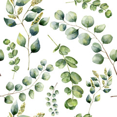 Akwarela wzór z eukaliptusem. Ręcznie malowane kwiatowy ornament z oddziałów srebra dolara, nasion i dziecka eukaliptusa na białym tle. Do tkanin, nadruków lub wzorów - 137672442