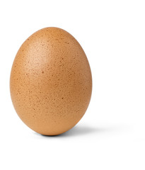 egg isolated