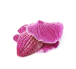 Pile of a orchid petals