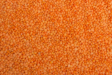 texture of lentils grains closeup