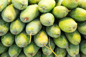 Pile of raw mangoes in the food market,Thailand.