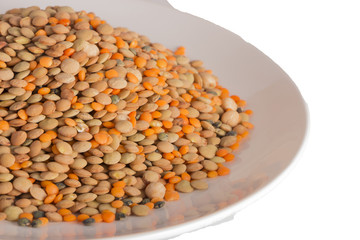 Fototapeta na wymiar fruits lentils on a plate isolated on white background