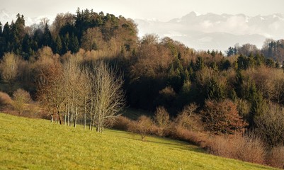 suisse...zurich oberland