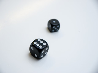 Two Dice on white background