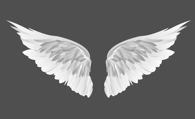 Obraz na płótnie Canvas Wings. Vector illustration on grey background.