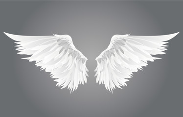 Wings. Vector illustration on grey background.