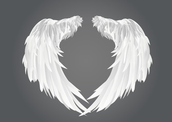 Wings. Vector illustration on grey background.