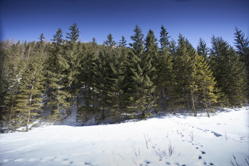 Konar © Rafal Kucharek