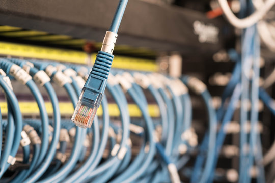 Ethernet cable on network switches in background.