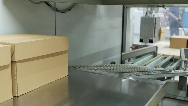 Cardboard Boxes are collected and transported on the conveyor belt