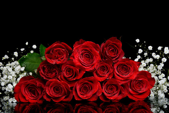 Fototapeta dozen red roses black background