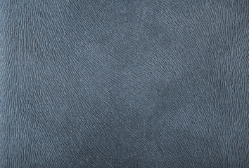 Fragment of a leather texture
