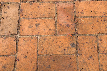 Brown bricks paving stones