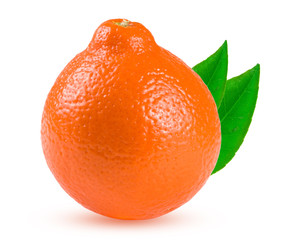orange tangerine or Mineola with leaf isolated on white background