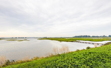 Fototapeta na wymiar Dutch nature reserve with a long footbridge over the water