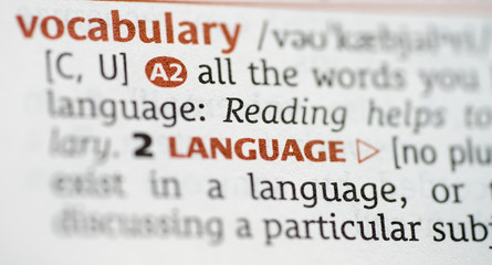 Dictionary showing the word vocabulary