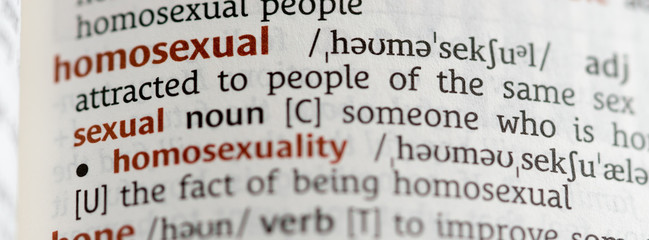 Dictionary showing the word homosexual