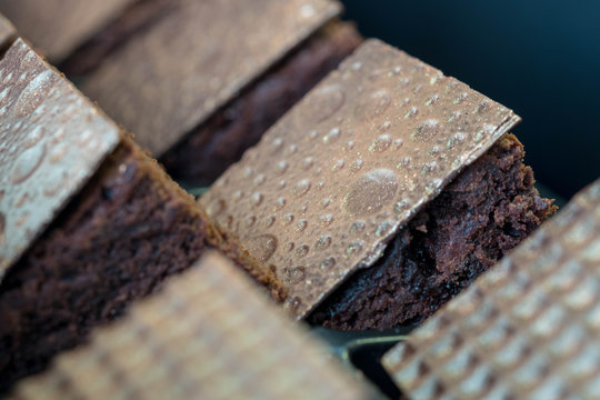 Row of brownie with chocolate on the top. In closeup. 