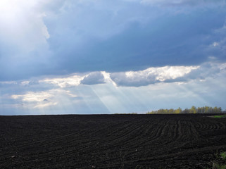 Spring plowed field