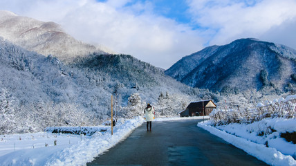 Snowy landscape in Kawaguchiko, Japan, Tree and mountain covered by white snow, Winter forest and mountain - Boost up color Processing.