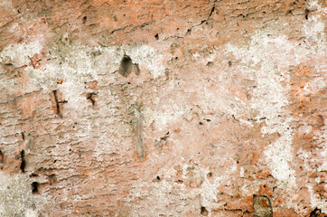 Old wall texture