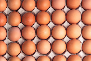 Top view of brown chicken eggs for background.