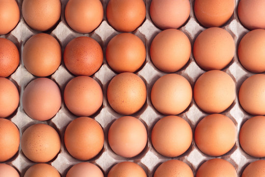 Top view of brown chicken eggs for background.