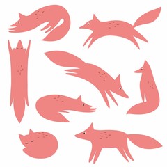 A Fox. Vector collection for your design