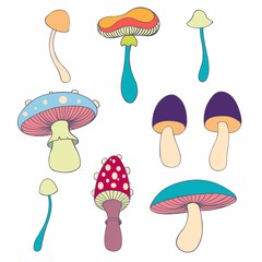 Stylized mushrooms in cartoon style