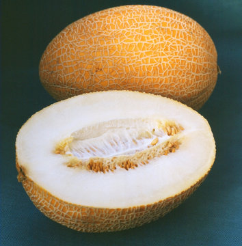 Ripe melon on dark blue background