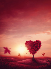 Heart love tree
