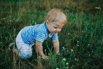 Naklejka na ściany i meble 1 year old european cute boy crawling on the grass. Birthday anniversary.