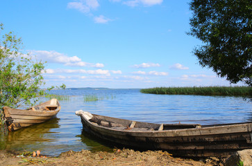 Obraz premium Coast